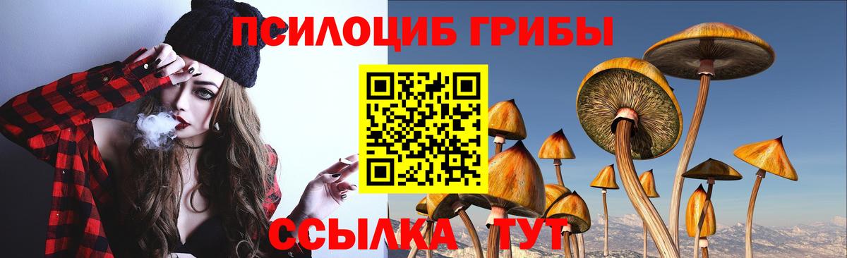 Псилоцибиновые грибы MAGIC MUSHROOMS Троицк